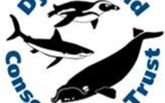 Dyer Island Conservations Trust_1